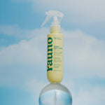 Spray Anti-Frizz